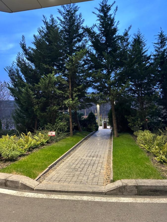 Cherry Apartment Bukares Bagian luar foto